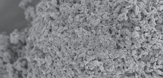 Epsilon's Gen 3.0 LFP Cathode Material SEM Micrograph