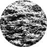 EC-M2 LMFP Single crystal SEM