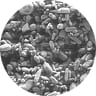 EC-P2E LFP Single crystal SEM