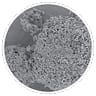 EC-P2S2 LFP Spherical agglomerated SEM